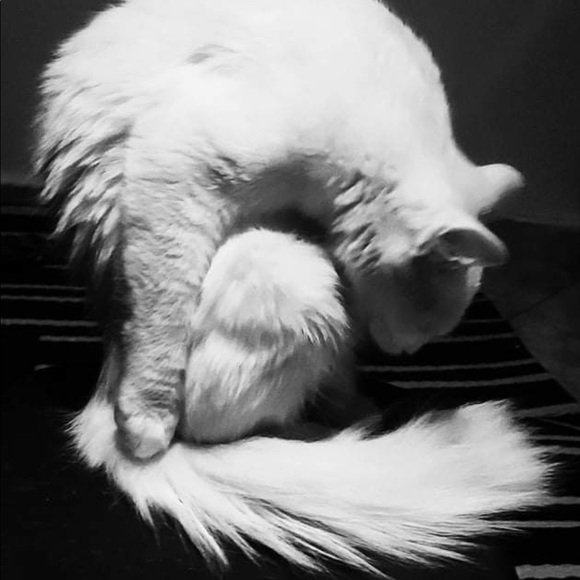 Quality Genuine Gemstones, Wholesale Prices - Picture 2 of 2